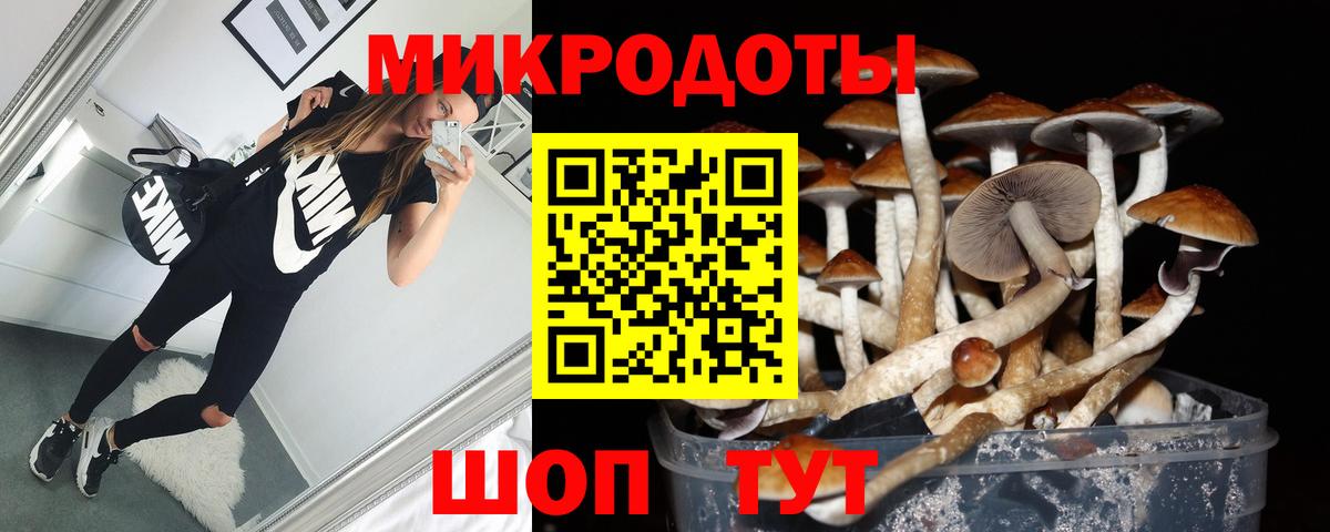 Галлюциногенные грибы мухоморы Елизово