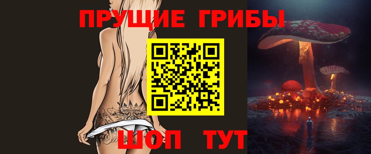 Галлюциногенные грибы Psilocybe  Вход с VPN  Елизово 